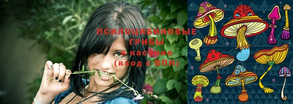 кокаин Вяземский