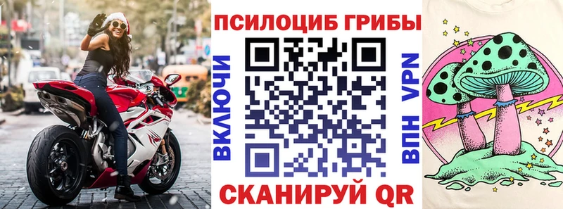 мега tor  Галич  Галлюциногенные грибы Psilocybe 